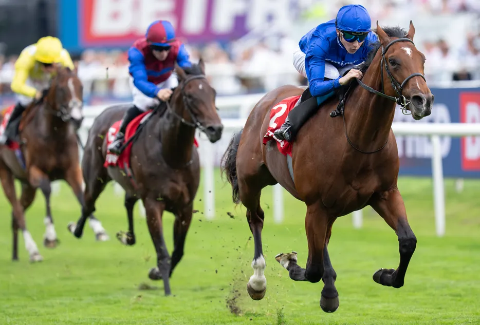 Desert Castle cut to 6-1 for 2,000 Guineas after 'faultless' display in Champagne Stakes