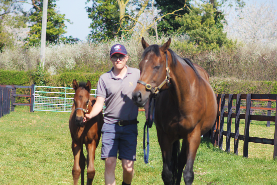 Toby Bulgin Racing 'It's the best industry in the world' - a student's spotlight on ...