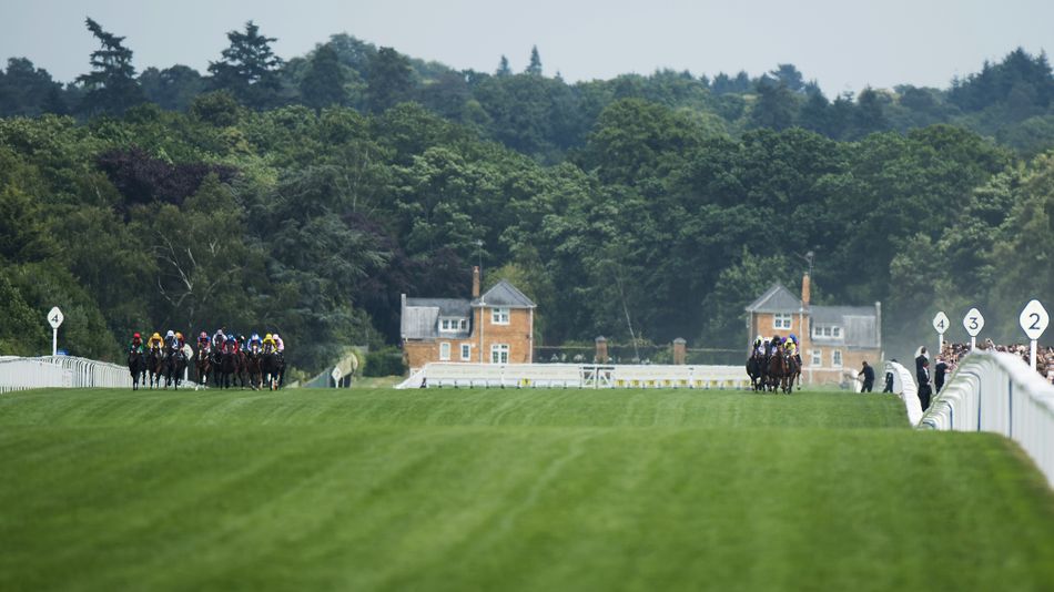 Ascot officials to put '5mm everywhere' as quick ground likely on day two of royal meeting