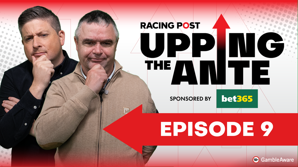 WATCH: DJ gives an 18-1 tip for the festival while Johnny discusses ...
