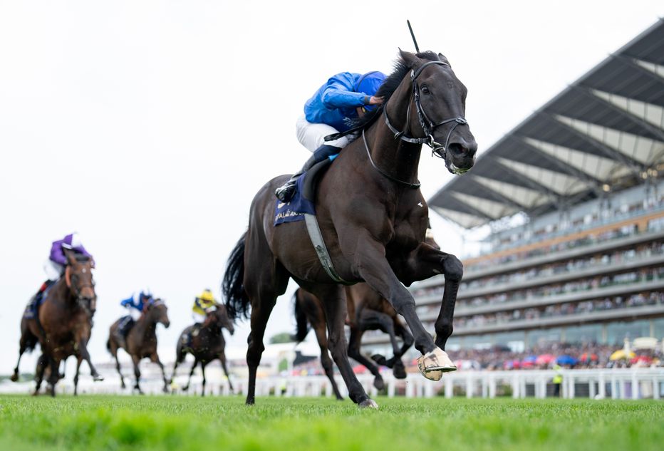 Rebel's Romance retired after £12m Godolphin career