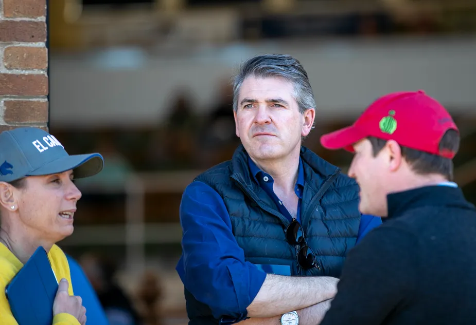 $3 million US prize the target for Hugo Palmer globetrotter as international campaign continues