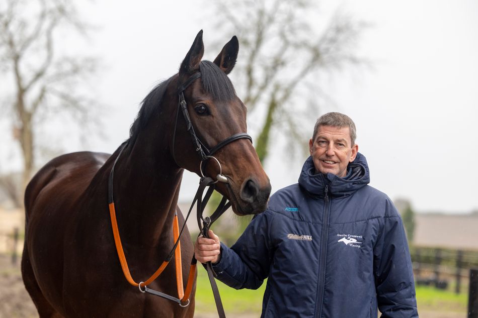 Gold Cup hero Inothewayurthinkin hammered from 18-1 into 13-2 for remarkable repeat but Gavin Cromwell warns 'it's a very big ask'