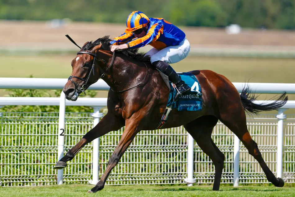 Diamond Necklace's unbeaten run ends as she suffers shock defeat at odds of 2-9 in Prix Jean & Louis Romanet