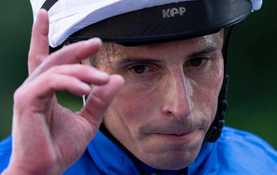 'He'll improve in every way' - half-brother to French star Almanzor maintains unbeaten record for the Gosdens and William Buick