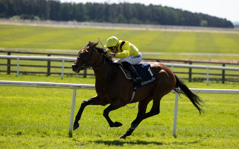 'We're confident, we've had so much belief in this horse' - Ed Walker relishing Prince of Wales's showdown with stable star