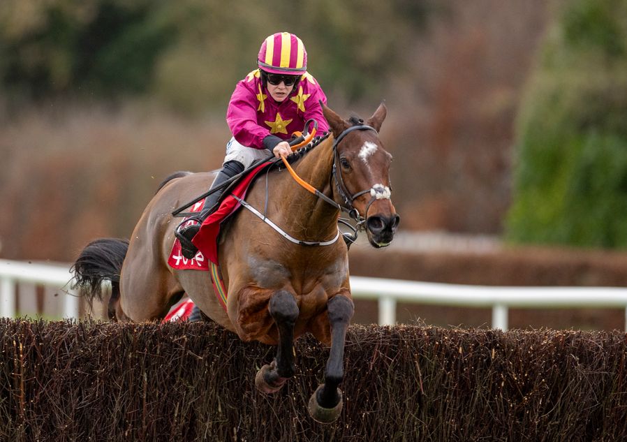 Tramore Racing Tramore to inspect ahead of New Year's Day fixture with 20mm of rain ...