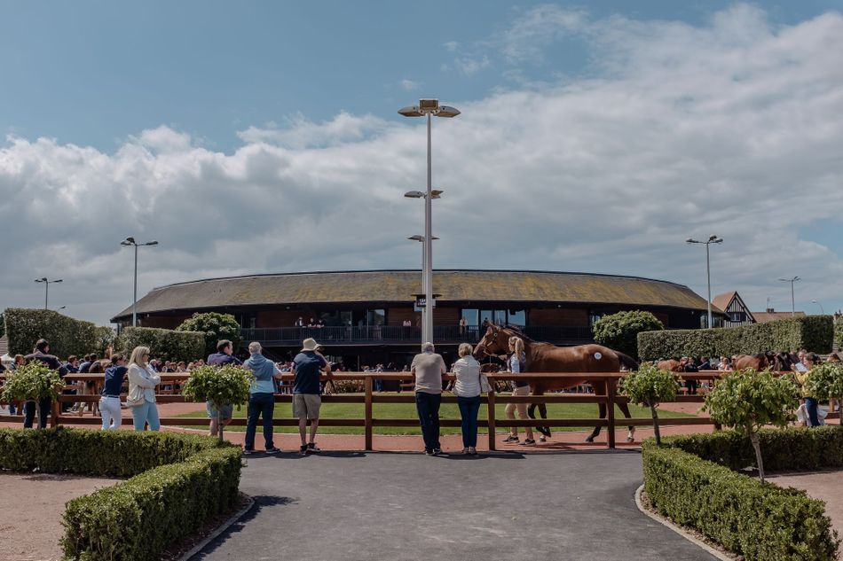 ‘What impressed me most is how easily she has recovered from the race’ -Diane fourth Habibi to be offered at Arqana Summer Sale