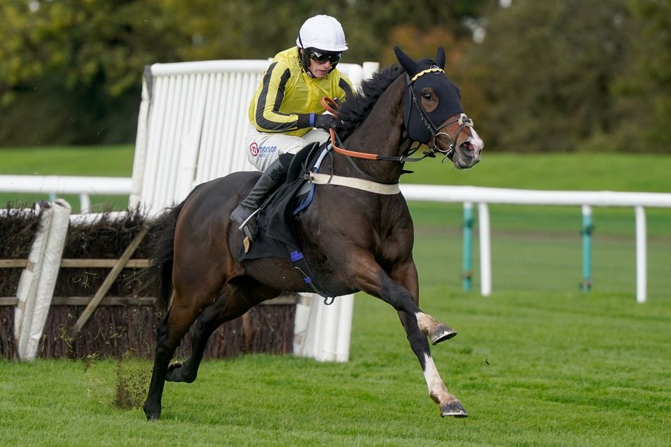 'He's definitely a Triumph Hurdle horse' Royal Ascot hero Burdett Road dazzles on hurdles