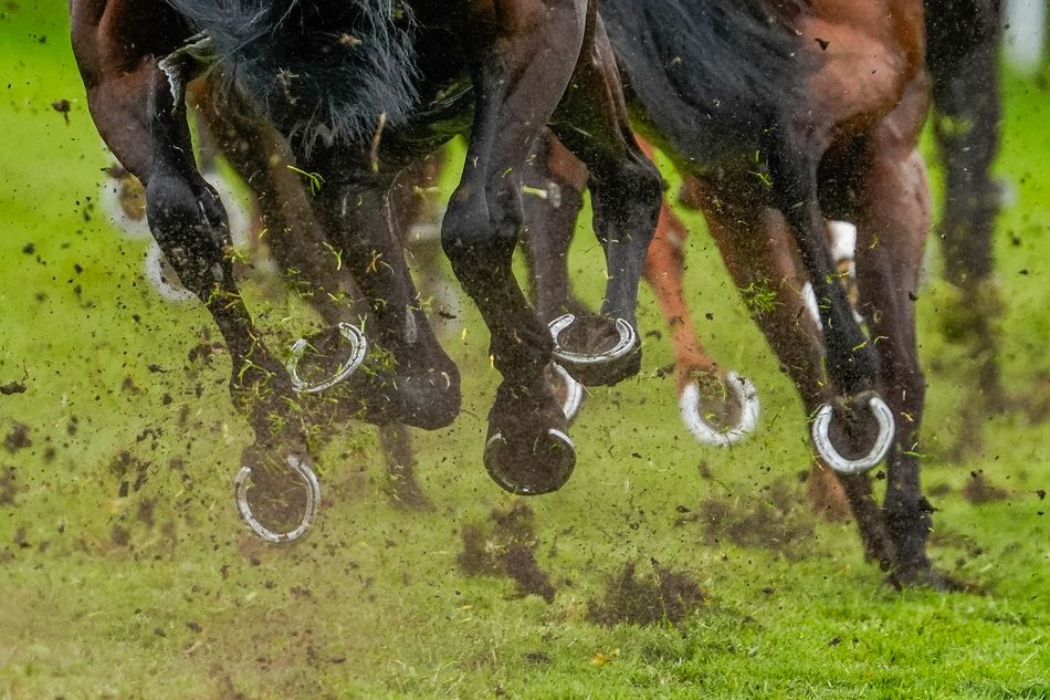 'It would create opportunities for illegal operators to grow' - Irish bookmakers fear potential new EU betting tax