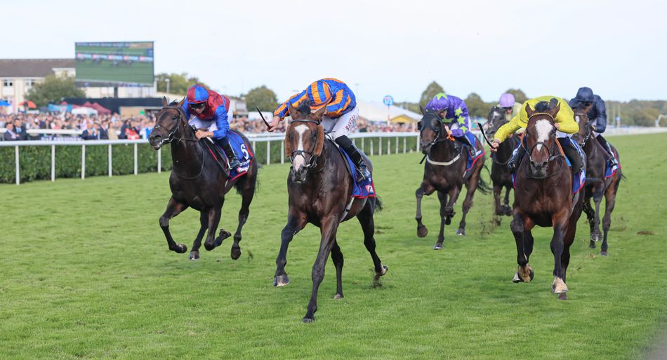 Confirmed runners and riders for the 2026 St Leger at Doncaster on Saturday - with Aidan O'Brien jockey bookings revealed