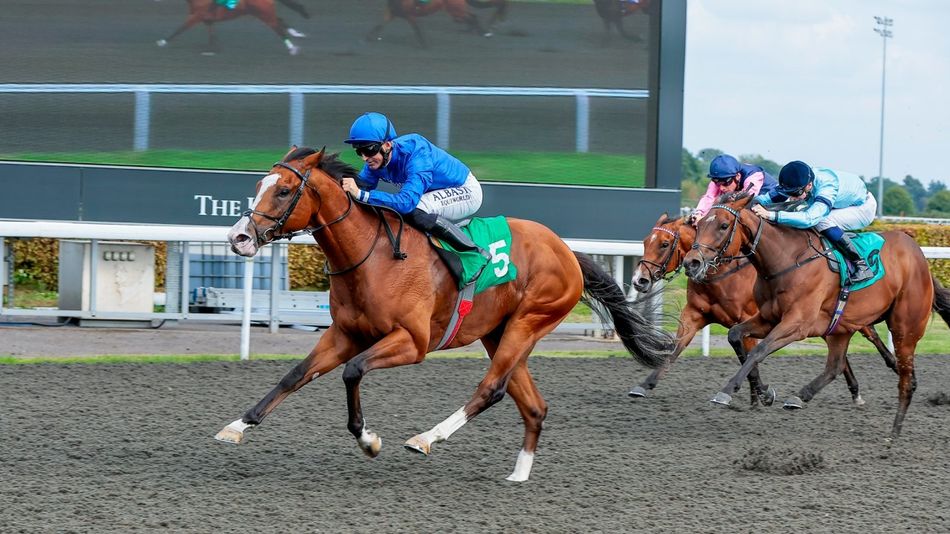 Magic Keep Racing Can Mischief Magic bounce back after a long layoff on his return to the ...