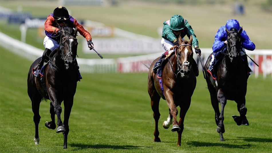 Royal enterprise brings another St Leger contender as Point Of Law makes Newmarket breakthrough