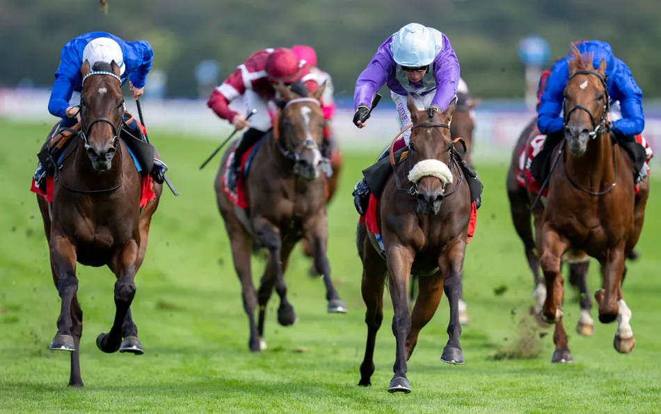 'Arabian Queen, what a mare' - Forbidden Fire another in the cap for Jeff Smith's Group 1 star