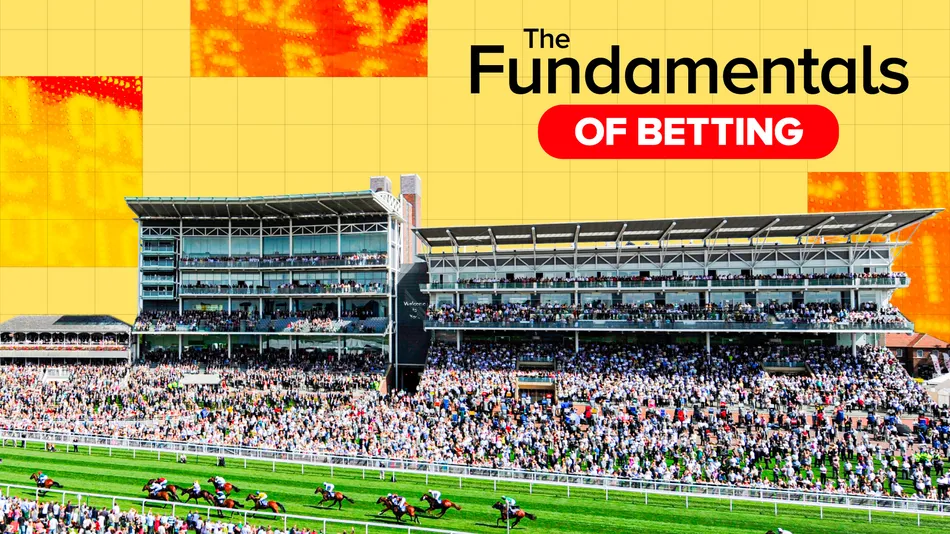 'It's the number one factor that would make me have a bet' - racing's best betting brains on how to master a 'hugely underplayed' part of the sport