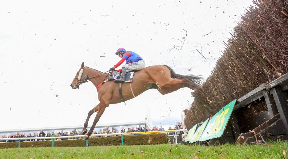 Grand National faller Mr Vango expected to make full recovery after hospital stay