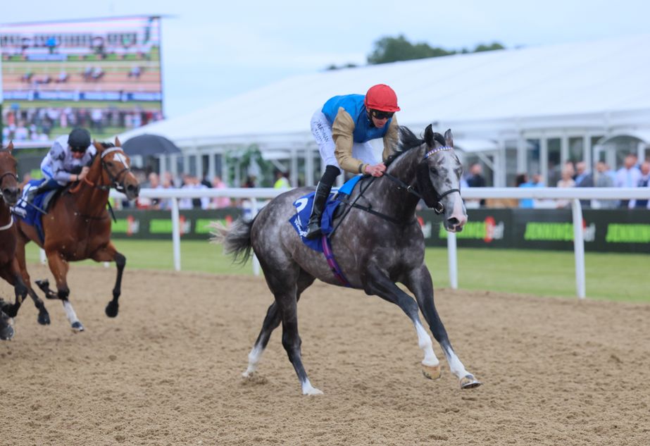 'He's one of the Wathnan team's favourites' - can classy type stop ...