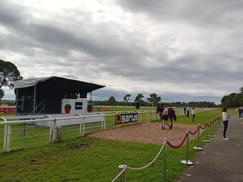 'I'm very happy at that price for a Mehmas filly’ - tried-and-tested sire takes top honours at Osarus Yearling Sale