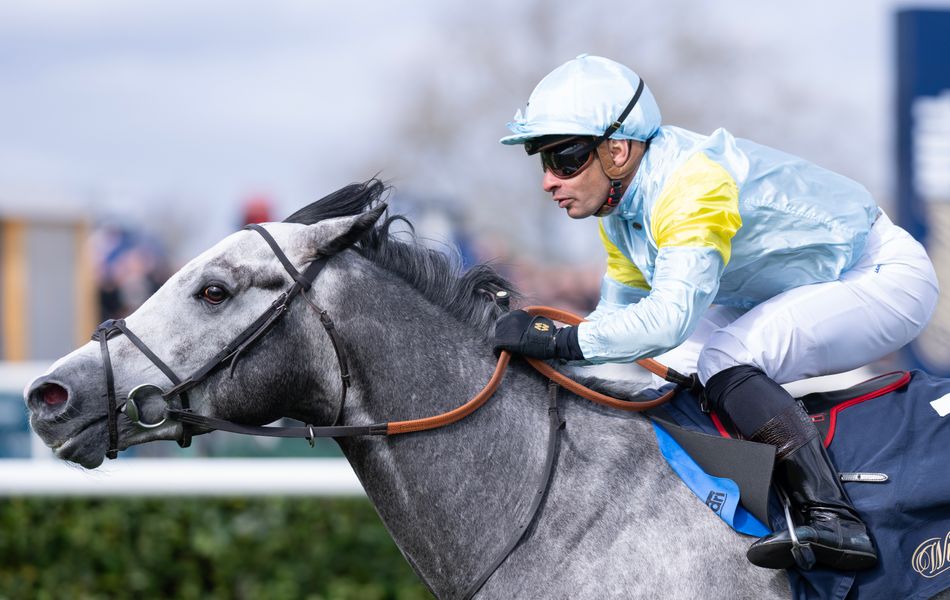 Charyn’s full-brother ready for first outing in Sumbe silks at Kempton on Wednesday