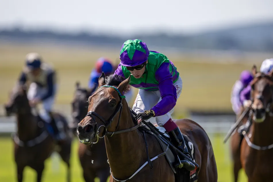 'It was easy to be attracted to him' - Medallion Racing hoping Celeron can secure Group 1 in Phoenix before tackling the Breeders' Cup