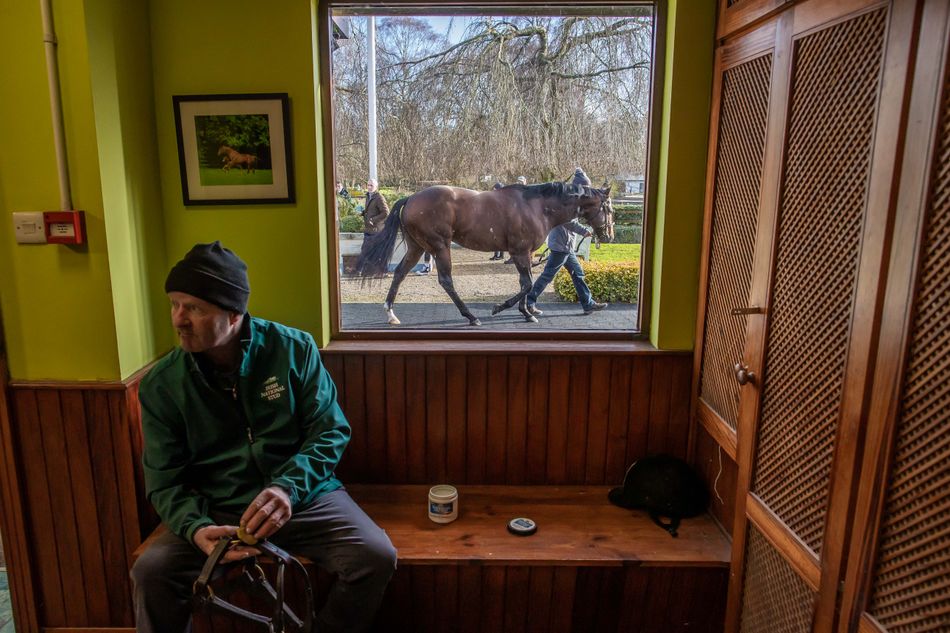 'He is stamping them with some of his own precocity' - Irish National Stud hoping to strike it Lucky with young stallion line-up