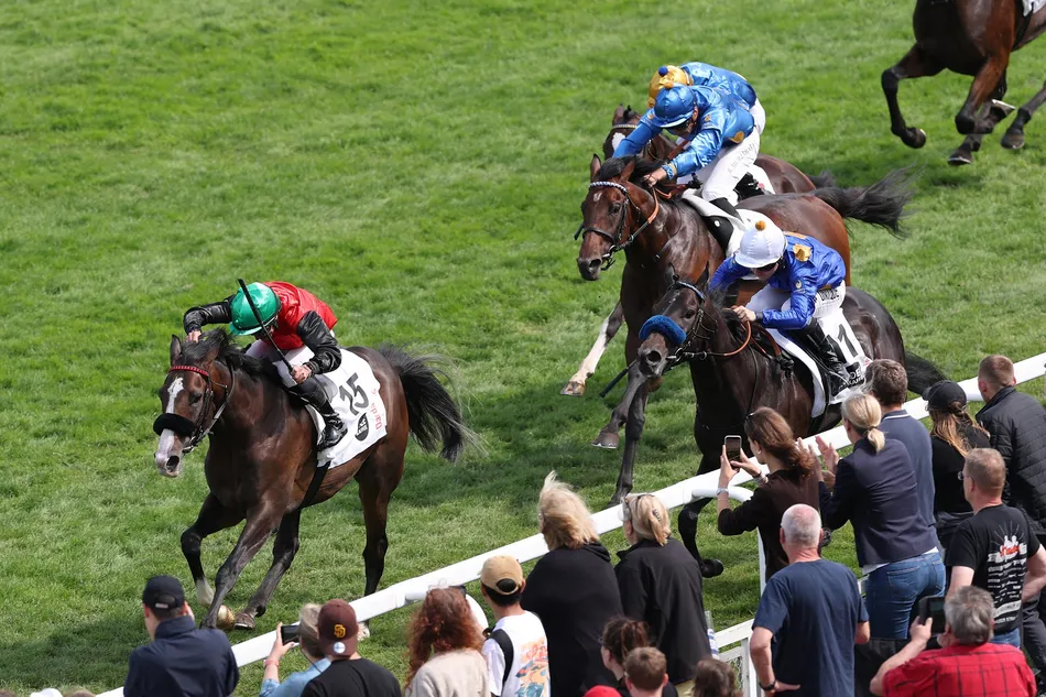German Derby runner-up and stakes winners among initial Arqana Arc Sale entries