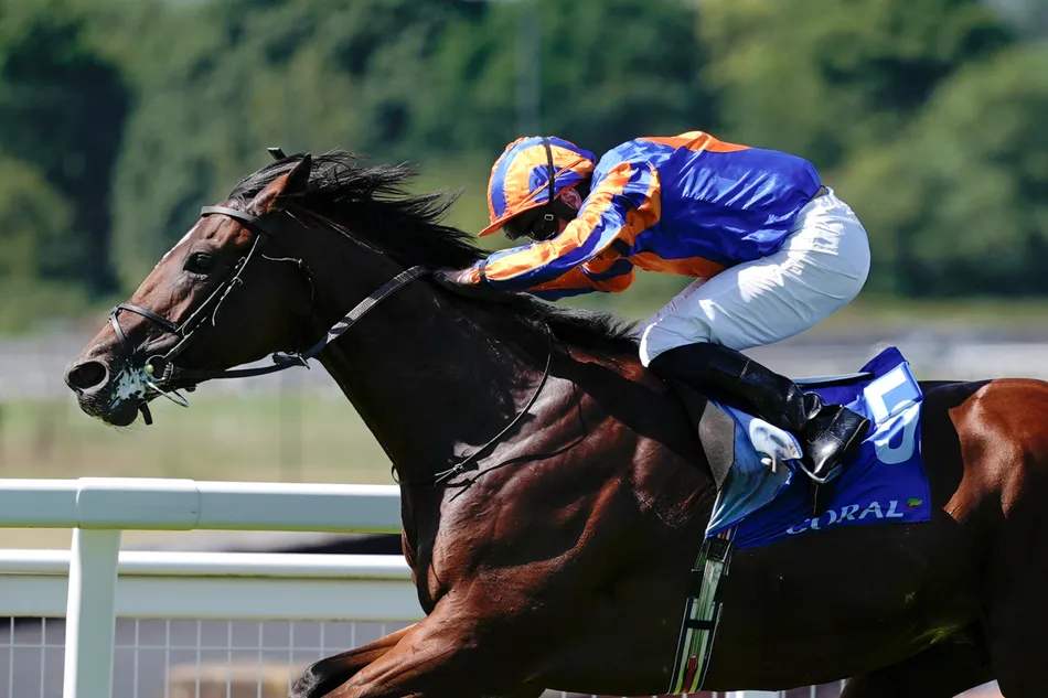 It's on! Aidan O'Brien gives Constitution River green light for epic York showdown with Ombudsman