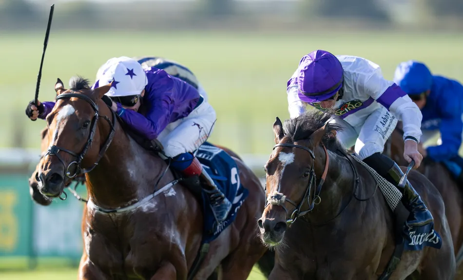 Clive Cox to skip Breeders' Cup with 'really special' Middle Park winner as he sets his sights on major targets next season