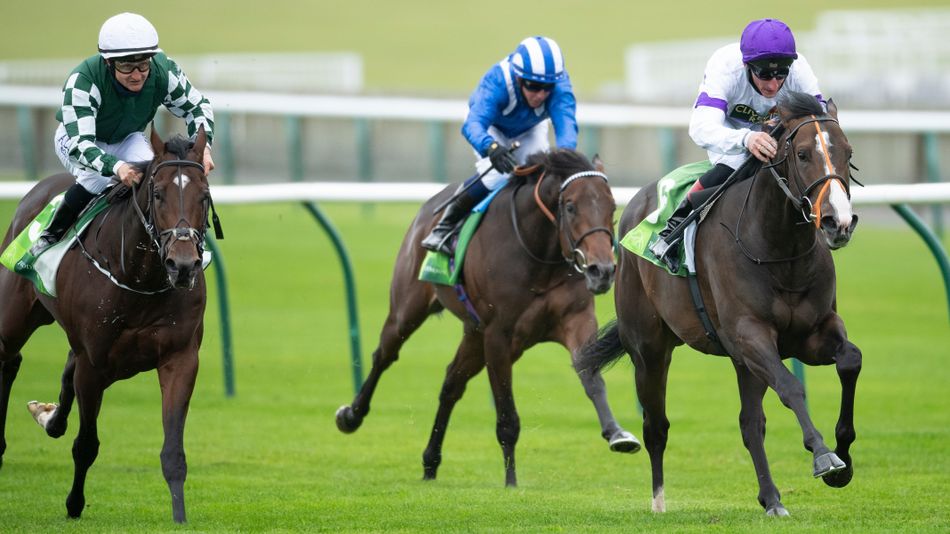 Middle Park winner and young sire Supremacy relocating to March Hare Stud