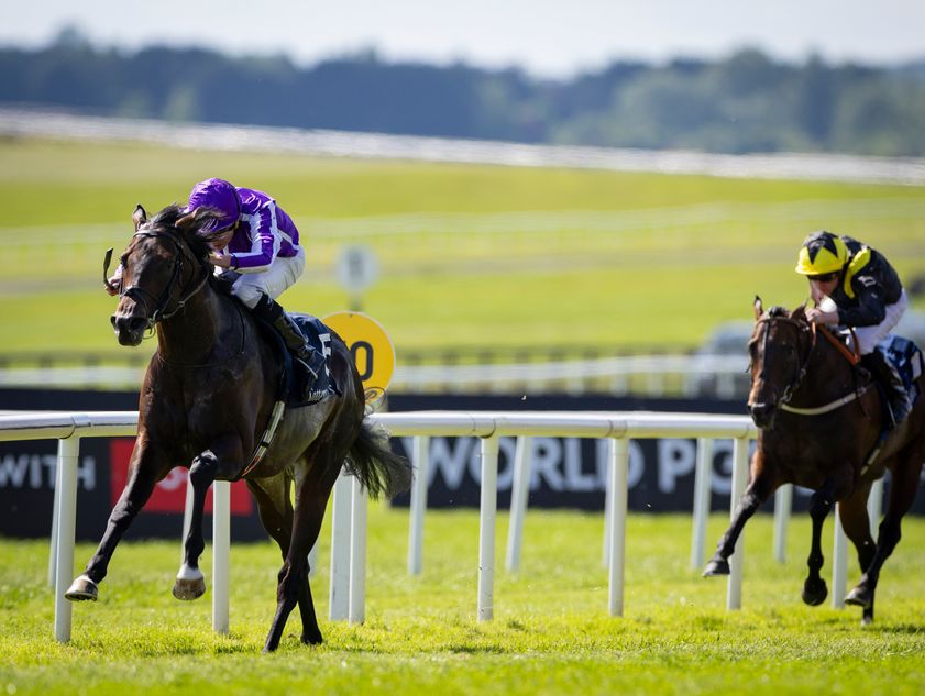 Fighting talk from Aidan O'Brien - and it sets the stage perfectly for a right royal rumble at Ascot