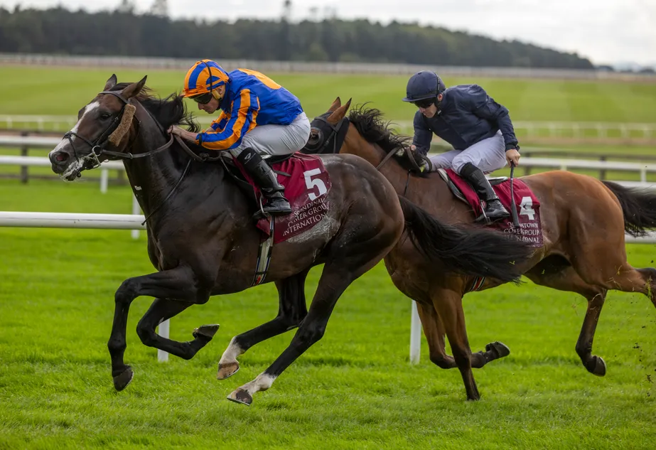 'He's a great horse' - O'Brien waxes lyrical as Scandinavia gets the job done in Irish St Leger