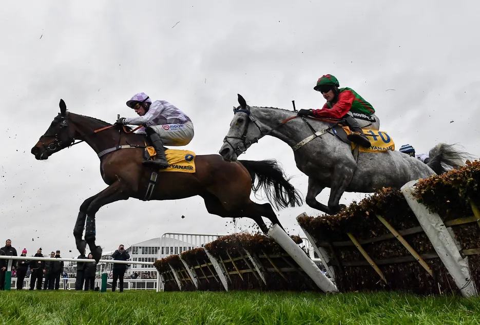 Taunton launches £50,000 bonus for horses who win at track and go on to land a Cheltenham Festival novice hurdle
