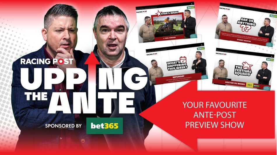 ‘I’m hearing he’s a very smart horse’ – why Johnny Dineen is backing against the Supreme big guns