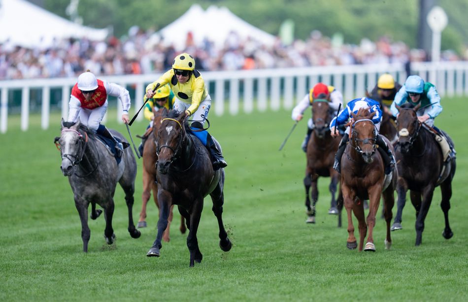 Ascot tips why this horse can win on British Champions Day Racing Post