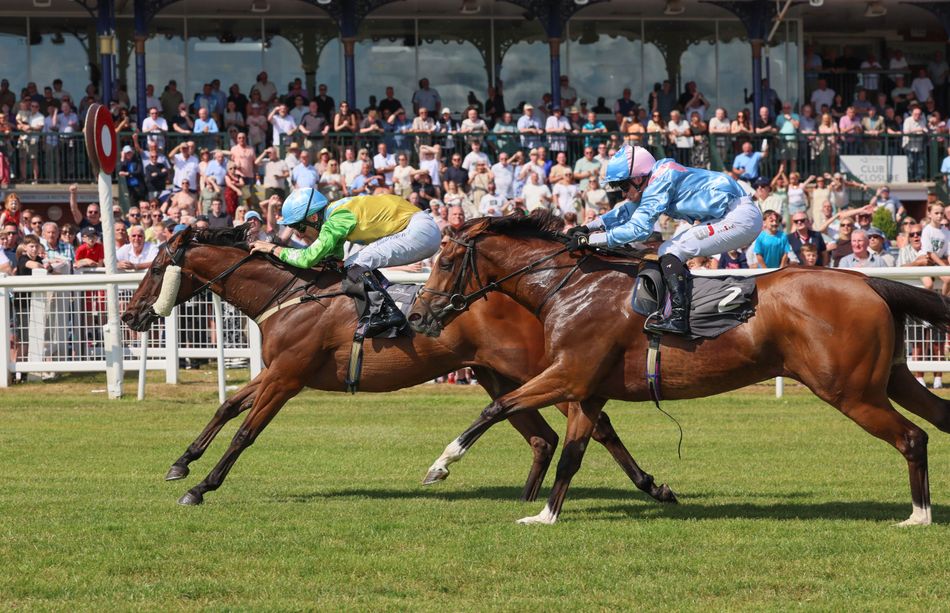 'He's a little star' - veteran sprinter Jordan Electrics gains 17th victory with success in Ayr Gold Cup Trial for Jim Goldie