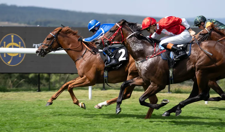 'They've been backing him at big prices' - Lake Forest team hopeful of pulling off ante-post gamble and completing remarkable Goodwood double