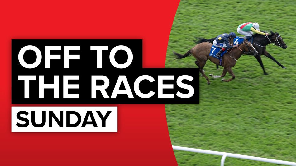 اسب Finest View با عملکردی درخشان در رقابت‌های اخیر، بار دیگر در مسابقه 2m1f handicap chase در Kelso به میدان می‌رود. در کنار او، اسب‌های دیگری همچون Fast Felix و Jesse Evans نیز برای کسب پیروزی تلاش می‌کنند.