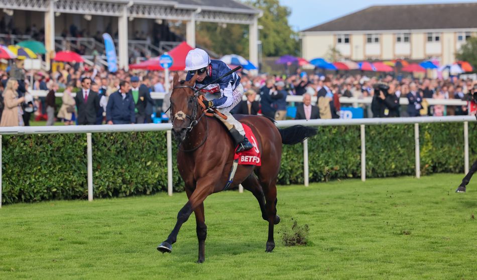 Back in the mud - four horses who could relish conditions in the Sprint Cup, including a 100-1 outsider