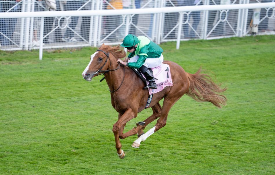 Who will win the 2026 Derby and Oaks at Epsom based on previous trends?