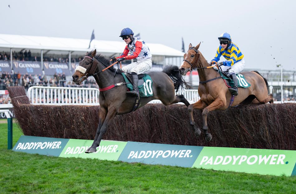 Shades of Denman - No Drama This End leads the way as Cheltenham success augurs well for season to come