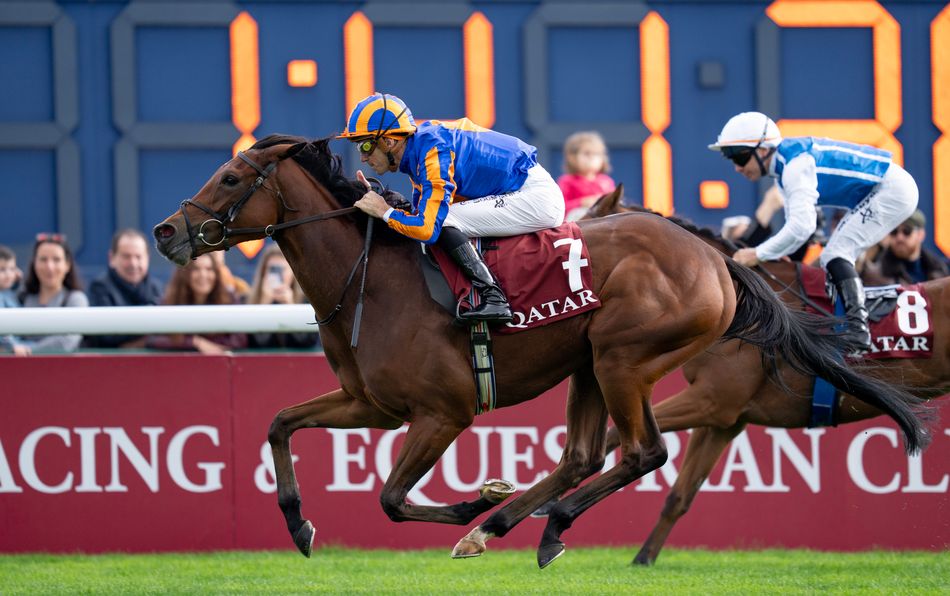 Diamond Necklace surges to the top of the markets for the 2026 fillies ...