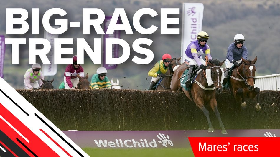 Big-race trends: what to look out for in the mares' races at the ...