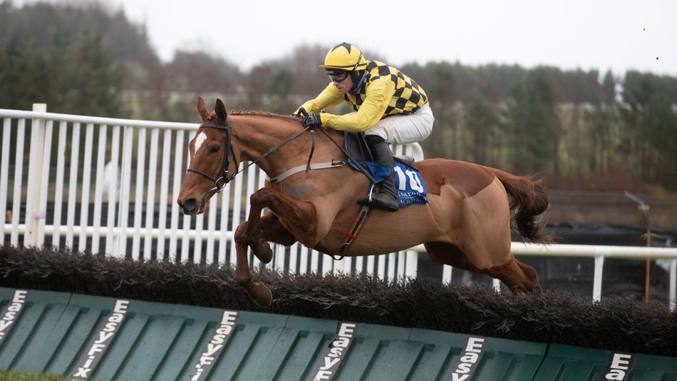 Confirmed runners and riders for the Paddy Power Champion Hurdle at