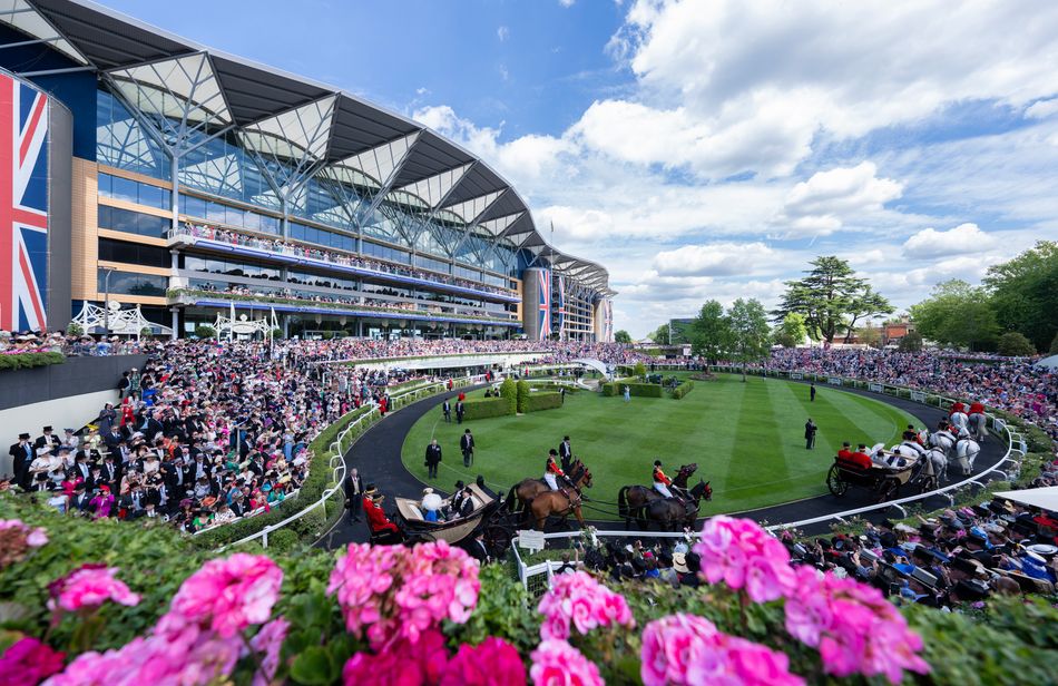 View from the stands: 'I've seen the meeting grow over the years and it ...