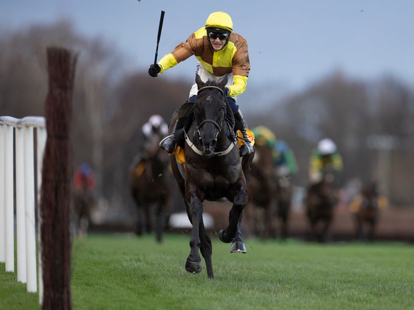 galopin-des-champs-was-so-much-more-than-just-a-winning-machine-he