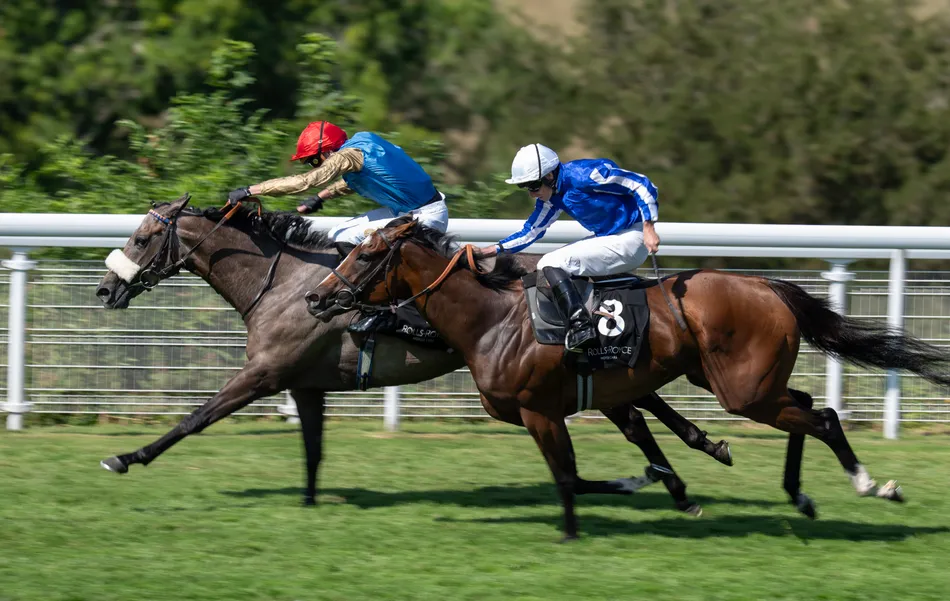 'If we didn't come away with a winner today, it was going to be a long week' - quickfire double eases the tension for Wathnan