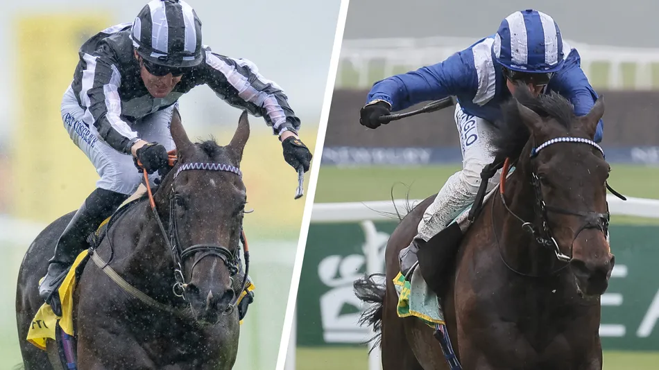 'A shot at something a bit better' - ageless Al Aasy spearheads British challenge for final card of August meeting