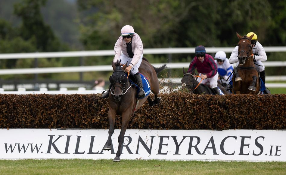 Jockey hit with 50-day ban for failing to pull up fatally injured horse at Galway on Sunday - Vimarsana News
