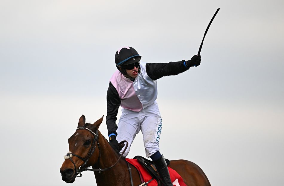 'A horse who just keeps on giving' - owner Acheson in tears after stalwart Bob Olinger goes out on a high with Stayers success