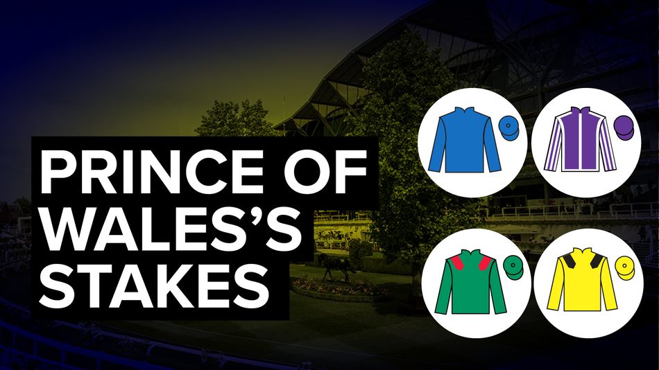 Prince of Wales's Stakes 2026 tips: the runners, the odds, the verdict